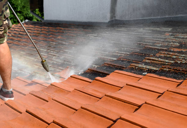 Best Deck Cleaning Services  in , DC