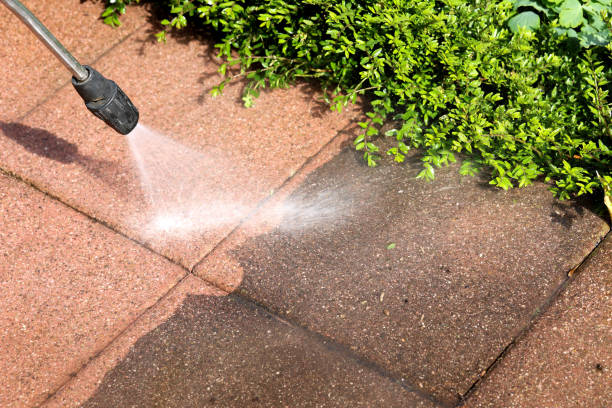 Best Local Pressure Washing Services  in , DC